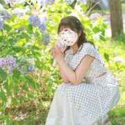 ヒメ日記 2024/08/13 08:59 投稿 Meru/める STYLISH BACH