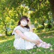 ヒメ日記 2024/08/16 09:59 投稿 Meru/める STYLISH BACH