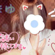 ヒメ日記 2025/08/04 16:52 投稿 まゆ バッドカンパニー土浦店