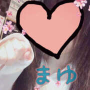 ヒメ日記 2025/09/29 17:41 投稿 まゆ バッドカンパニー土浦店