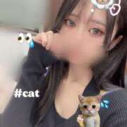 ヒメ日記 2024/12/30 12:05 投稿 くるる☆真面目な未経験♪ JKサークル