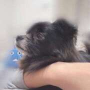 ヒメ日記 2025/01/06 19:45 投稿 くるる☆真面目な未経験♪ JKサークル