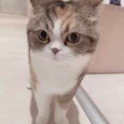 ヒメ日記 2025/05/24 22:31 投稿 くるる☆真面目な未経験♪ JKサークル