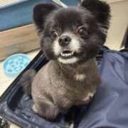 ヒメ日記 2025/05/24 23:46 投稿 くるる☆真面目な未経験♪ JKサークル