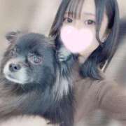 ヒメ日記 2025/05/25 00:01 投稿 くるる☆真面目な未経験♪ JKサークル