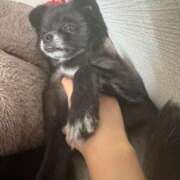 ヒメ日記 2025/05/27 15:02 投稿 くるる☆真面目な未経験♪ JKサークル