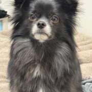 ヒメ日記 2025/05/28 12:31 投稿 くるる☆真面目な未経験♪ JKサークル