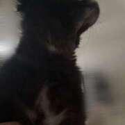 ヒメ日記 2025/05/28 20:02 投稿 くるる☆真面目な未経験♪ JKサークル