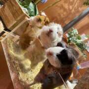 ヒメ日記 2025/05/29 21:45 投稿 くるる☆真面目な未経験♪ JKサークル