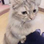 ヒメ日記 2025/05/30 12:45 投稿 くるる☆真面目な未経験♪ JKサークル