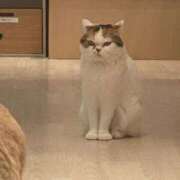 ヒメ日記 2025/05/31 01:19 投稿 くるる☆真面目な未経験♪ JKサークル