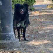 ヒメ日記 2025/06/05 22:15 投稿 くるる☆真面目な未経験♪ JKサークル