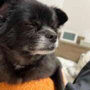 ヒメ日記 2025/06/06 12:30 投稿 くるる☆真面目な未経験♪ JKサークル