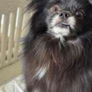 ヒメ日記 2025/06/07 06:00 投稿 くるる☆真面目な未経験♪ JKサークル