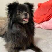 ヒメ日記 2025/06/07 20:30 投稿 くるる☆真面目な未経験♪ JKサークル