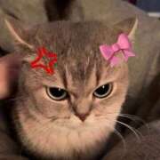 ヒメ日記 2025/06/08 02:31 投稿 くるる☆真面目な未経験♪ JKサークル