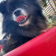 ヒメ日記 2025/06/08 15:01 投稿 くるる☆真面目な未経験♪ JKサークル