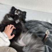 ヒメ日記 2025/06/08 17:01 投稿 くるる☆真面目な未経験♪ JKサークル