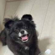 ヒメ日記 2025/06/08 21:34 投稿 くるる☆真面目な未経験♪ JKサークル