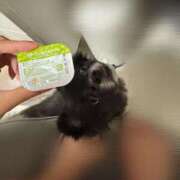 ヒメ日記 2025/06/09 21:25 投稿 くるる☆真面目な未経験♪ JKサークル