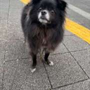 ヒメ日記 2025/06/10 07:01 投稿 くるる☆真面目な未経験♪ JKサークル