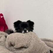 ヒメ日記 2025/06/12 00:41 投稿 くるる☆真面目な未経験♪ JKサークル