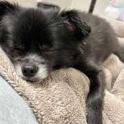 ヒメ日記 2025/06/12 19:02 投稿 くるる☆真面目な未経験♪ JKサークル