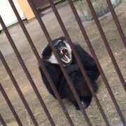 ヒメ日記 2025/06/12 21:31 投稿 くるる☆真面目な未経験♪ JKサークル