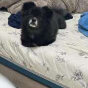 ヒメ日記 2025/06/13 05:00 投稿 くるる☆真面目な未経験♪ JKサークル