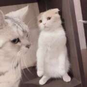 ヒメ日記 2025/06/13 06:30 投稿 くるる☆真面目な未経験♪ JKサークル