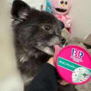 ヒメ日記 2025/06/13 17:02 投稿 くるる☆真面目な未経験♪ JKサークル