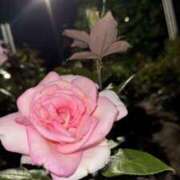 ヒメ日記 2025/06/15 19:55 投稿 くるる☆真面目な未経験♪ JKサークル