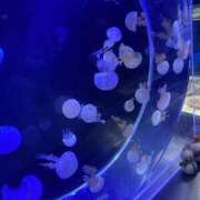 ヒメ日記 2025/06/17 15:30 投稿 くるる☆真面目な未経験♪ JKサークル