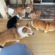 ヒメ日記 2025/06/19 07:01 投稿 くるる☆真面目な未経験♪ JKサークル