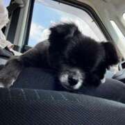 ヒメ日記 2025/06/20 21:27 投稿 くるる☆真面目な未経験♪ JKサークル