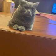 ヒメ日記 2025/06/20 22:01 投稿 くるる☆真面目な未経験♪ JKサークル