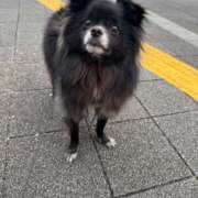 ヒメ日記 2025/06/20 22:30 投稿 くるる☆真面目な未経験♪ JKサークル