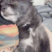 ヒメ日記 2025/06/23 00:00 投稿 くるる☆真面目な未経験♪ JKサークル