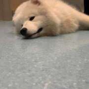 ヒメ日記 2025/06/24 22:01 投稿 くるる☆真面目な未経験♪ JKサークル