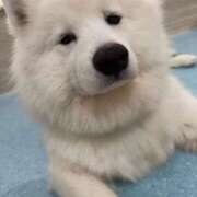 ヒメ日記 2025/06/24 23:01 投稿 くるる☆真面目な未経験♪ JKサークル