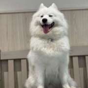 ヒメ日記 2025/06/25 06:30 投稿 くるる☆真面目な未経験♪ JKサークル