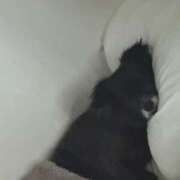 ヒメ日記 2025/06/25 22:30 投稿 くるる☆真面目な未経験♪ JKサークル