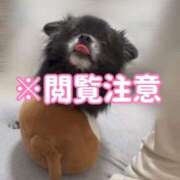 ヒメ日記 2025/06/25 23:15 投稿 くるる☆真面目な未経験♪ JKサークル