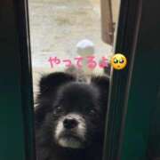 ヒメ日記 2025/06/26 07:00 投稿 くるる☆真面目な未経験♪ JKサークル