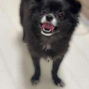 ヒメ日記 2025/06/27 06:00 投稿 くるる☆真面目な未経験♪ JKサークル