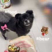 ヒメ日記 2025/06/27 07:01 投稿 くるる☆真面目な未経験♪ JKサークル