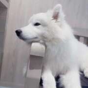 ヒメ日記 2025/06/28 18:02 投稿 くるる☆真面目な未経験♪ JKサークル