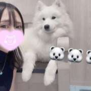 ヒメ日記 2025/06/29 15:01 投稿 くるる☆真面目な未経験♪ JKサークル