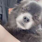 ヒメ日記 2025/06/30 20:39 投稿 くるる☆真面目な未経験♪ JKサークル