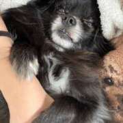 ヒメ日記 2025/07/04 12:16 投稿 くるる☆真面目な未経験♪ JKサークル